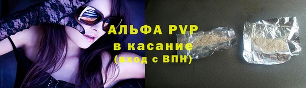 скорость Каменка