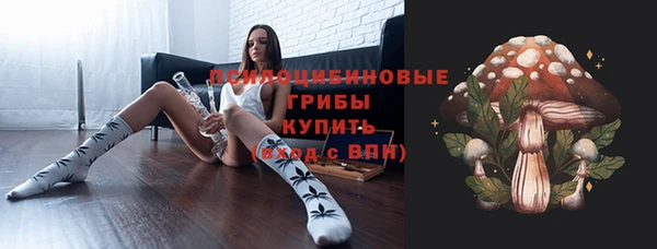 индика Горно-Алтайск