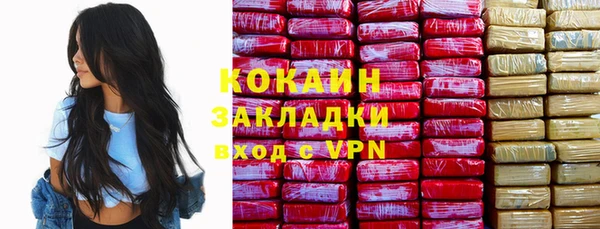 индика Горно-Алтайск
