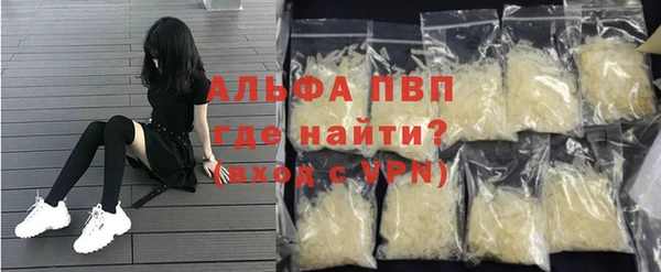 индика Горно-Алтайск