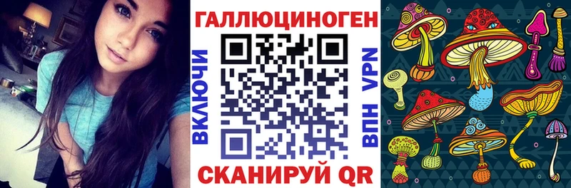гидра как войти  Дивногорск  Псилоцибиновые грибы ЛСД  даркнет сайт 